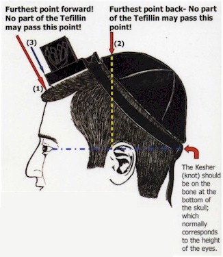 tefillin